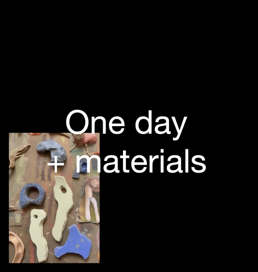 one day pass + materials